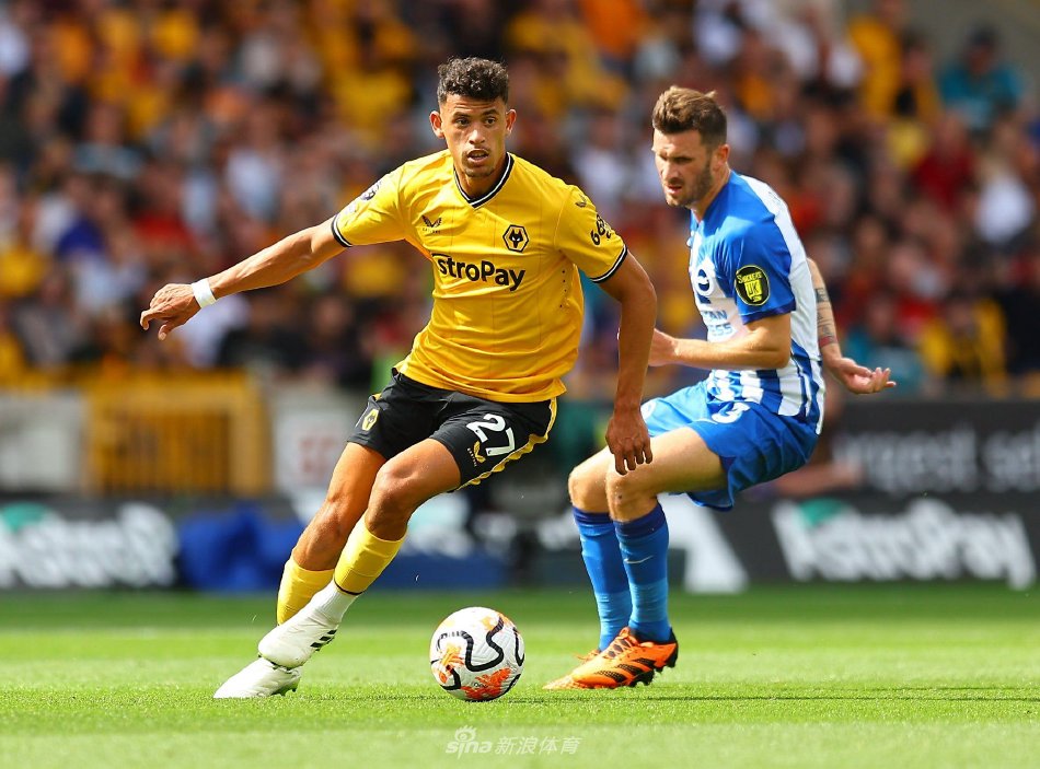 从青年赛场 从青年赛场